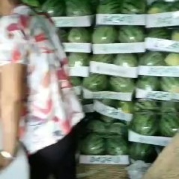西瓜大量供应