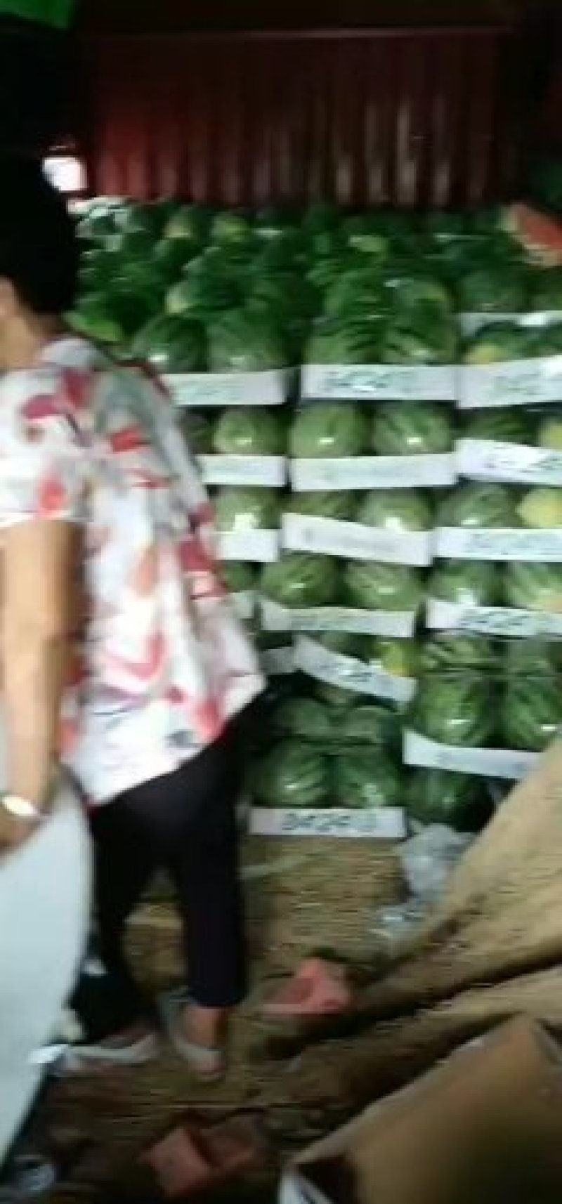 西瓜大量供应
