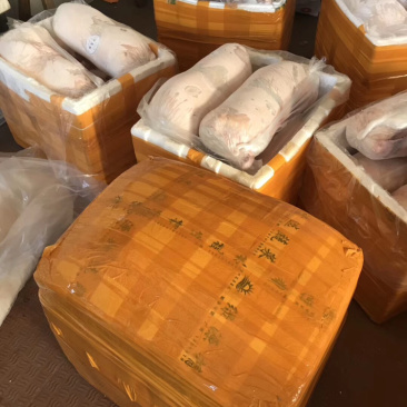 乳猪.黑棕鹅，白条鸭等等