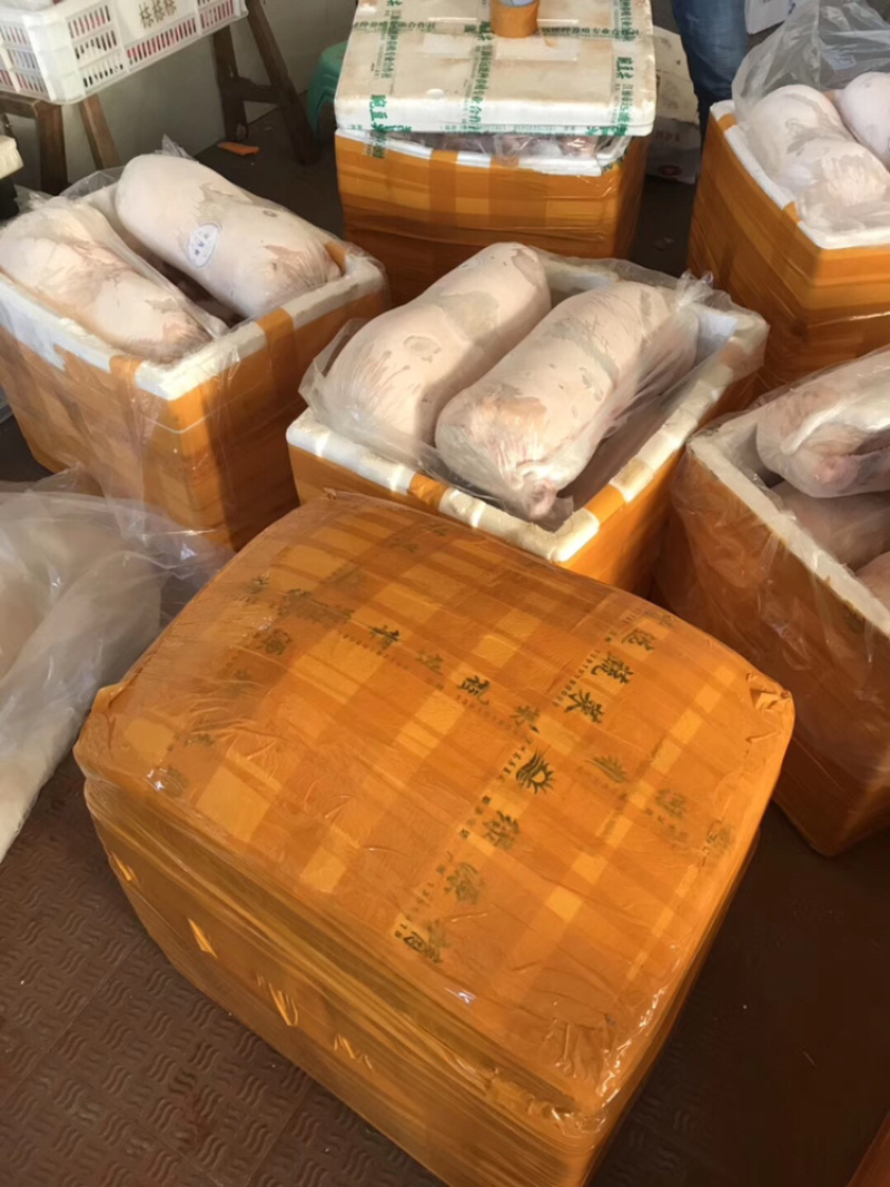乳猪.黑棕鹅，白条鸭等等