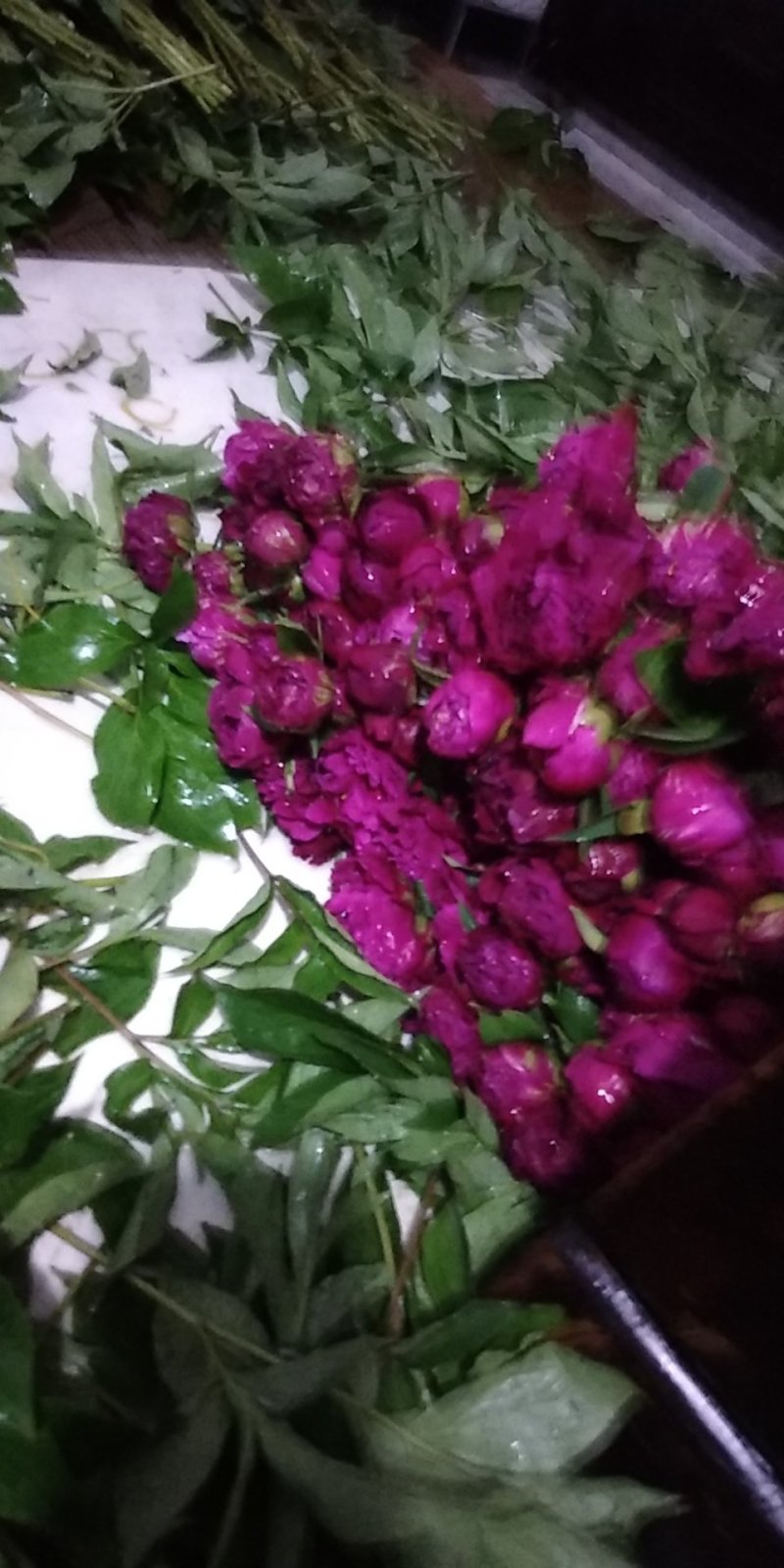 勺药花