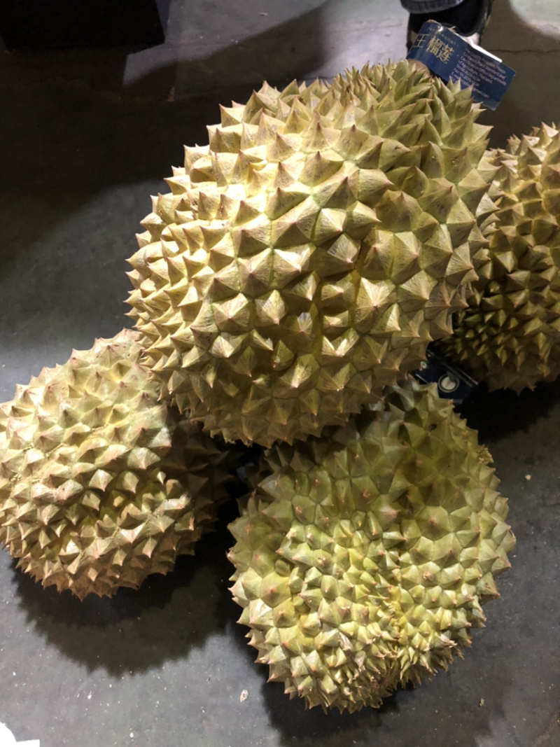 泰国榴莲青尼榴莲新鲜进口榴莲现货一手货源