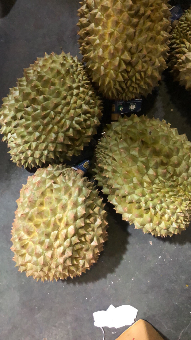 泰国榴莲青尼榴莲新鲜进口榴莲现货一手货源