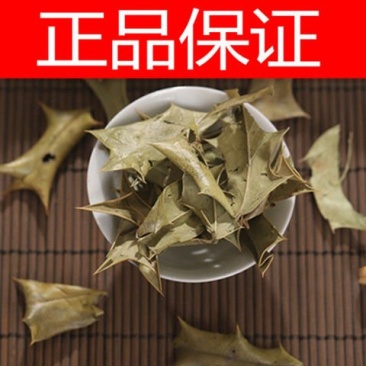 中药材功劳叶枸骨叶猫儿刺正品一公斤起包邮
