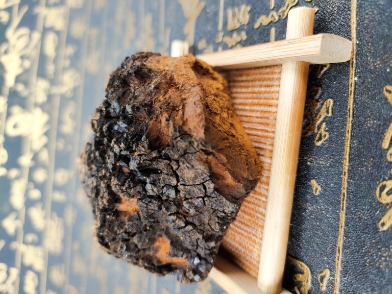 桦树茸长白山野生高品质桦褐孔菌白桦茸桦树黄产地批发