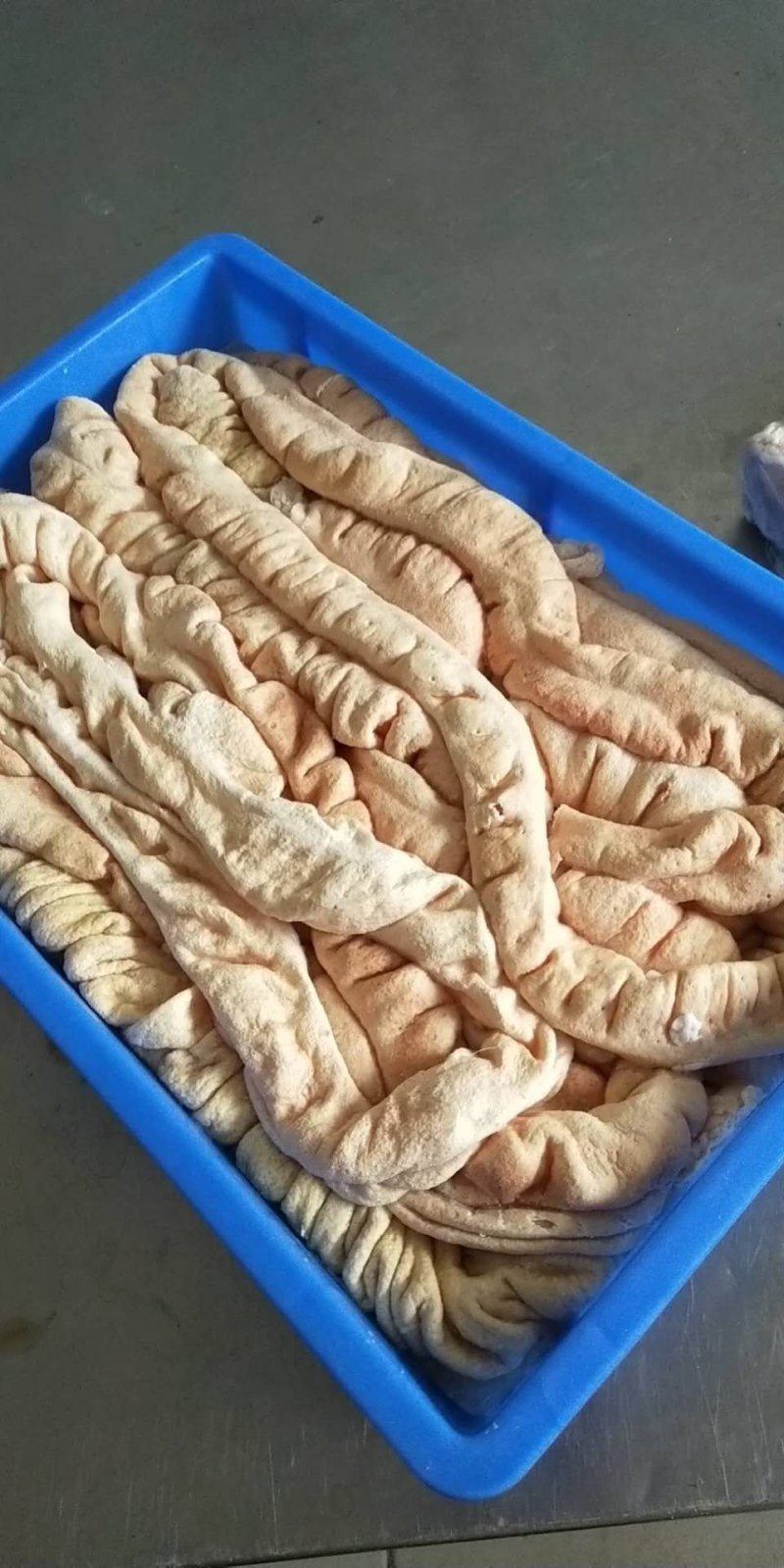 去骨前肘