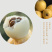 兰溪红枇杷白枇杷正在热销中