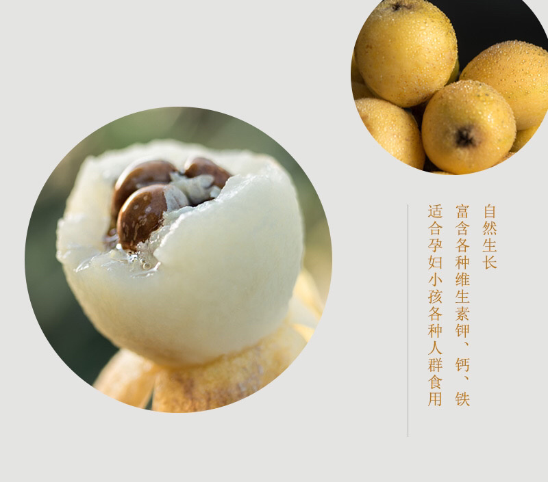 兰溪红枇杷白枇杷正在热销中