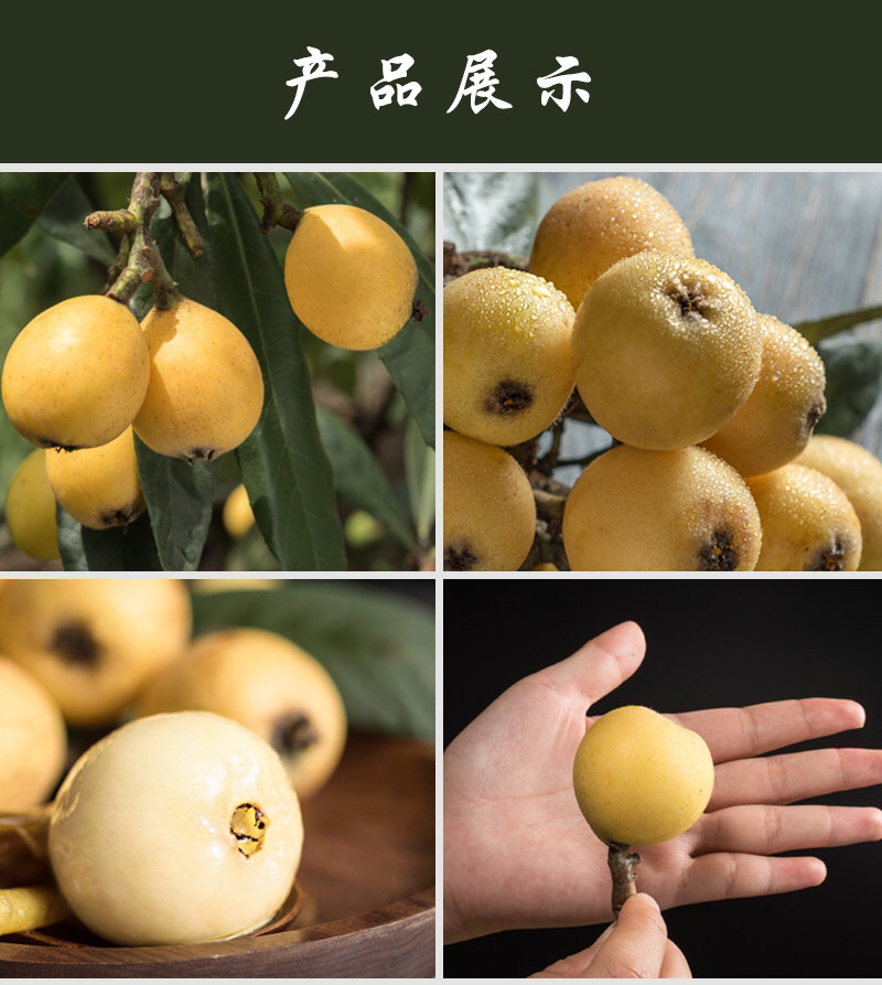 兰溪红枇杷白枇杷正在热销中