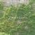 爬山虎山坡藤草种子专业草种批发厂家直销诚招代理指导种植