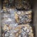 【羊杂】高端品质一手货源2斤包装5斤包装