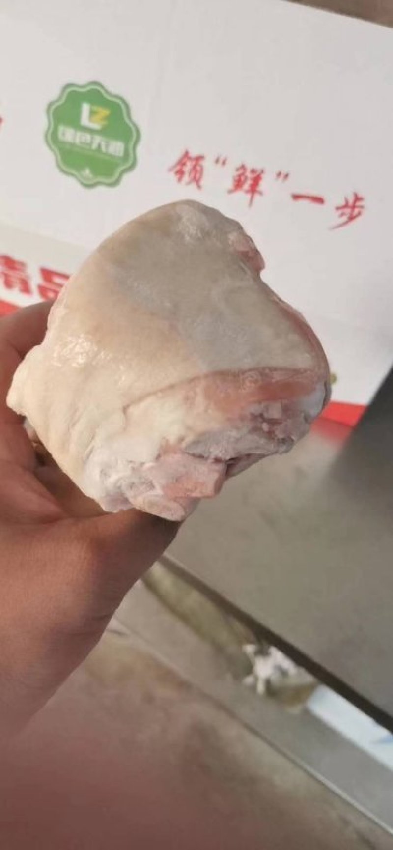 国产进口无毛肥猪脚圈