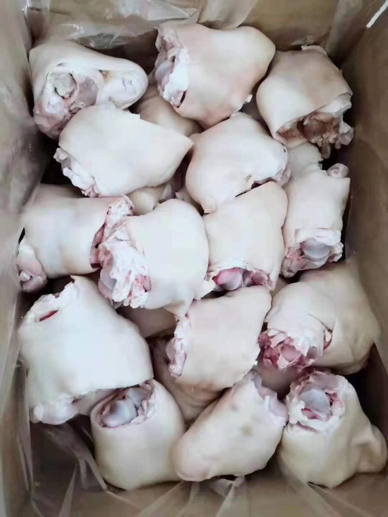 国产进口无毛肥猪脚圈