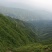 杜鹃，高山大杜鹃大红和淡红，白花杜鹃