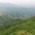 杜鹃，高山大杜鹃大红和淡红，白花杜鹃