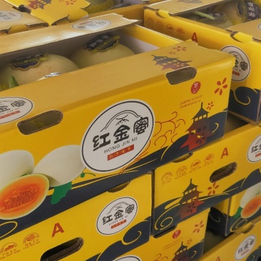 西洲蜜瓜大量上市口感脆甜货源充足价格美丽欢迎来电咨询