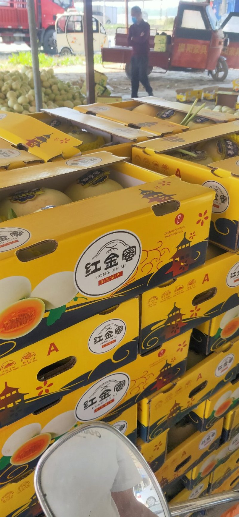 西洲蜜瓜大量上市口感脆甜货源充足价格美丽欢迎来电咨询