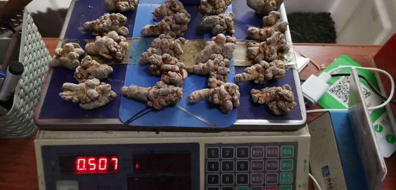 昌玉药材21头三七足干货可代打粉绝不掺杂次品