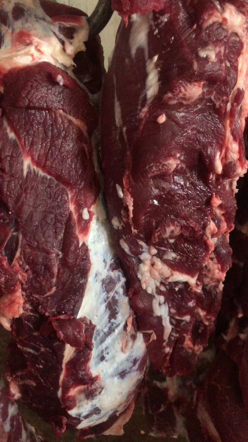 源头厂家纯干冷鲜公牛牛肉，高品质冷鲜牛肉一手货源
