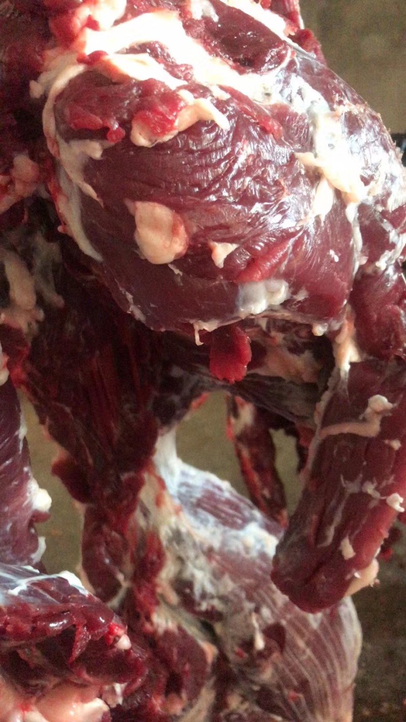 源头厂家纯干冷鲜公牛牛肉，高品质冷鲜牛肉一手货源