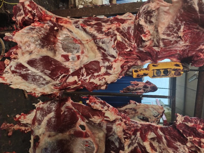 源头厂家纯干冷鲜公牛牛肉，高品质冷鲜牛肉一手货源