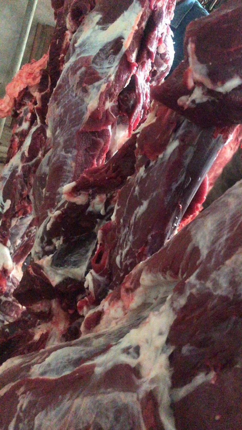 源头厂家纯干冷鲜公牛牛肉，高品质冷鲜牛肉一手货源
