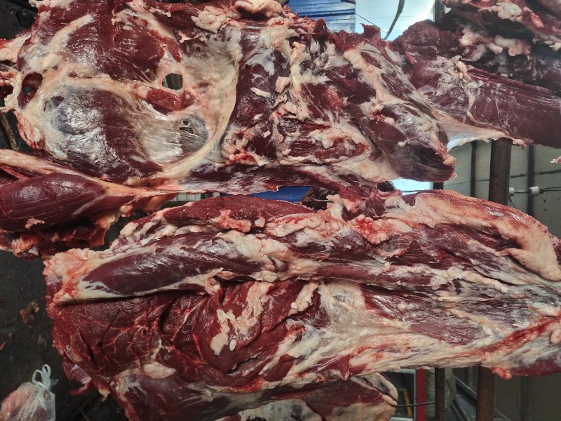 源头厂家纯干冷鲜公牛牛肉，高品质冷鲜牛肉一手货源