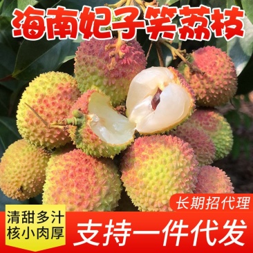 【顺丰冷链配送】妃子笑荔枝,核小肉爆满香甜,支持代发