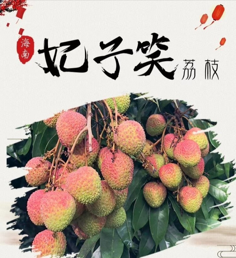 【顺丰冷链配送】妃子笑荔枝，核小肉爆满香甜，支持代发