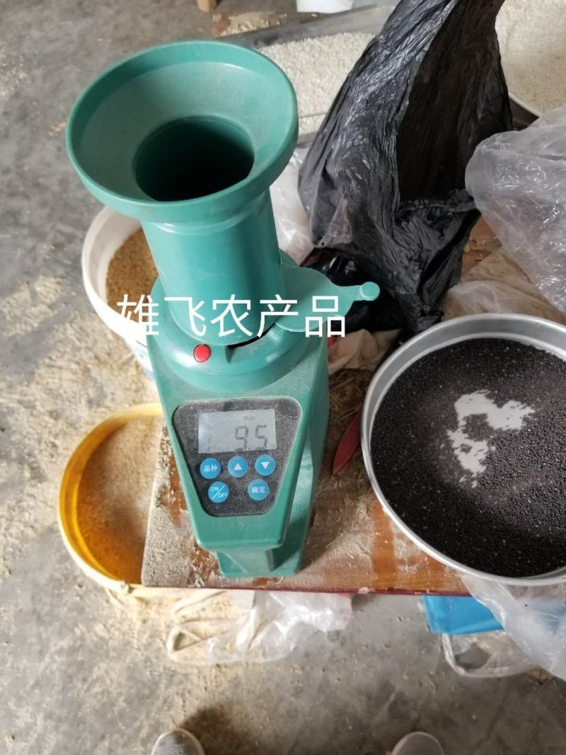 湖北油菜籽本地油菜籽精品净菜籽毛菜籽出油率高油色金黄