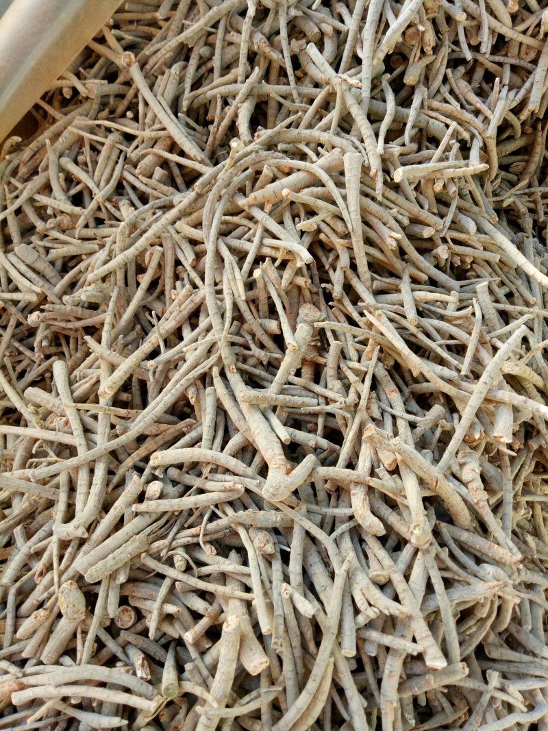 文山三七粗大根（水洗干特级）
