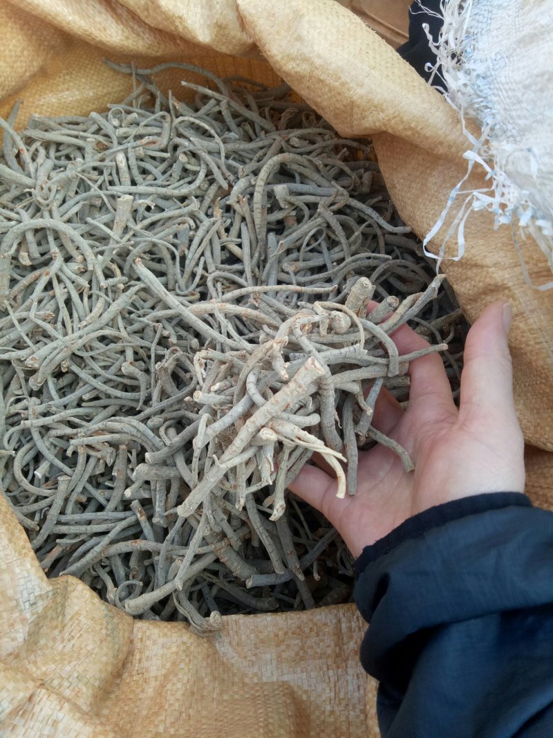 文山三七粗大根（水洗干特级）