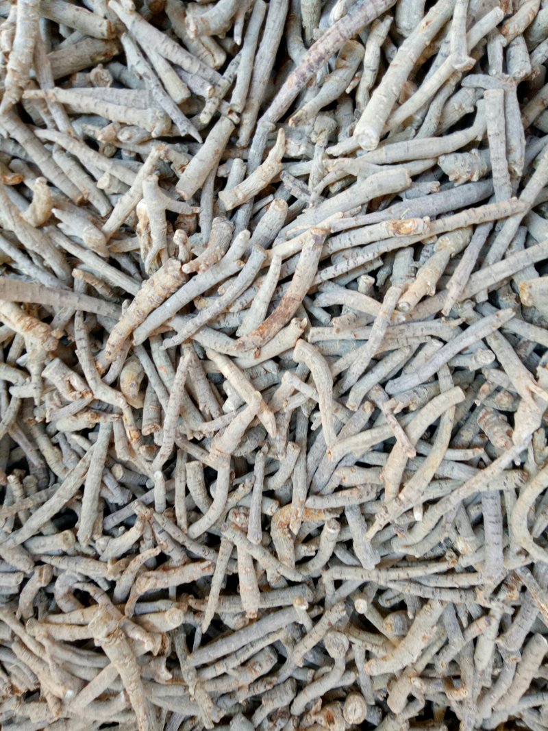 文山三七粗大根（水洗干特级）