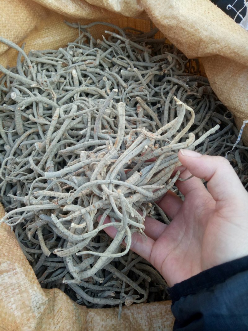 文山三七粗大根（水洗干特级）