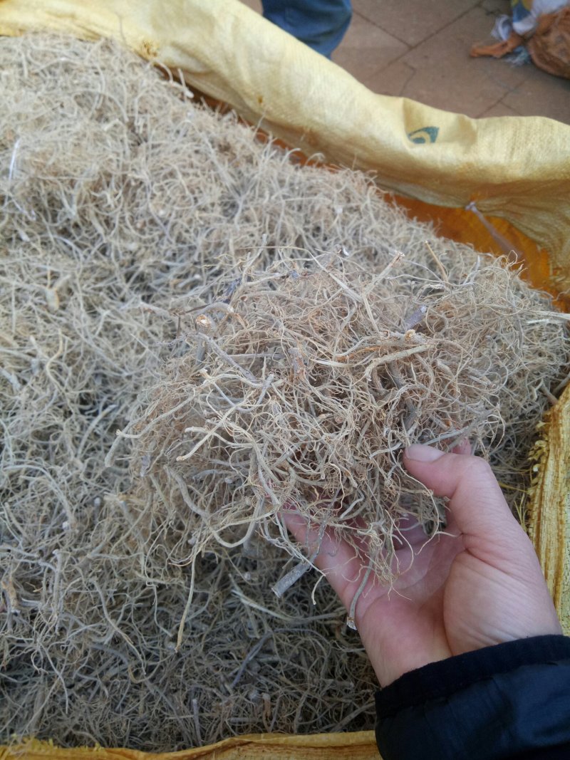 文山干三七须根（特级）