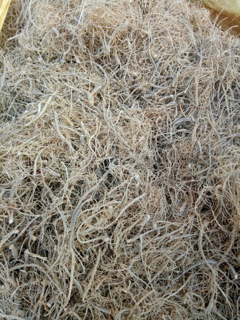 文山干三七须根（特级）