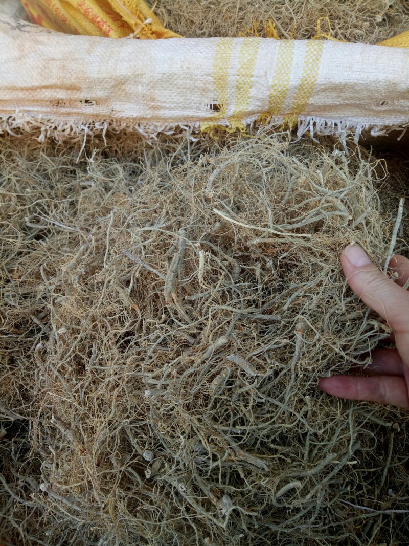 文山干三七须根（特级）