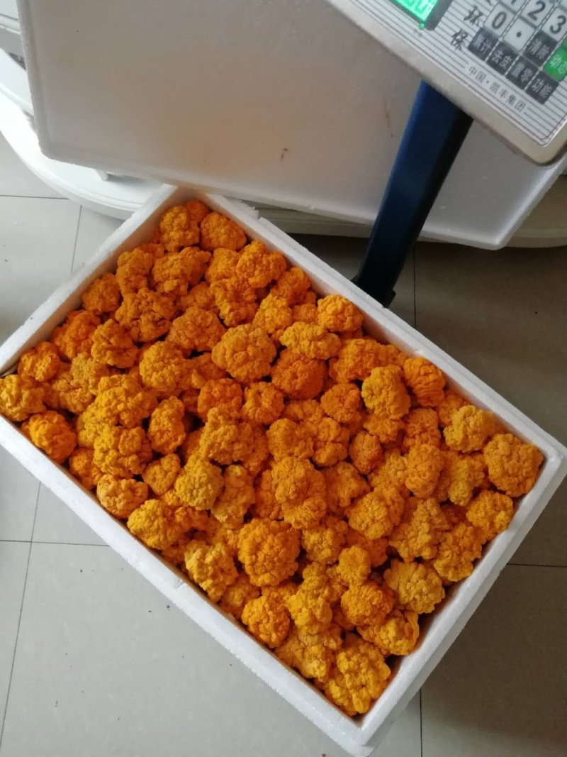 金耳鲜货