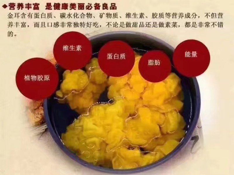 金耳鲜货