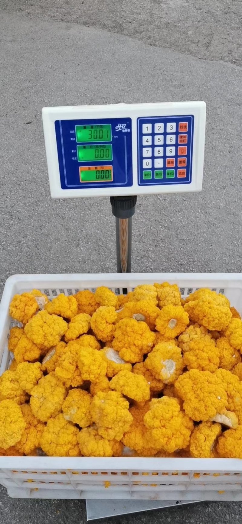 金耳鲜货