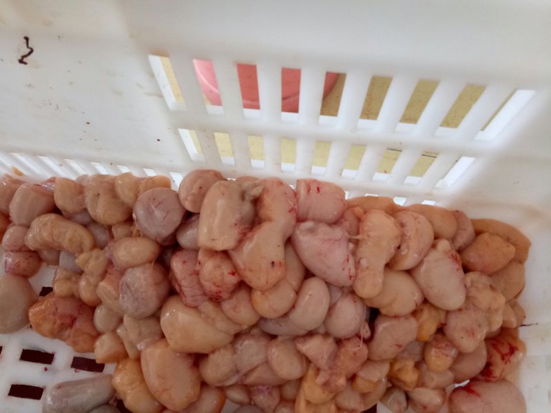 破损鸡肾鸡腰子用于包子饺子，抄手,元子馅料炒蛋蒸蛋