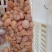 破损鸡肾鸡腰子用于包子饺子，抄手,元子馅料炒蛋蒸蛋