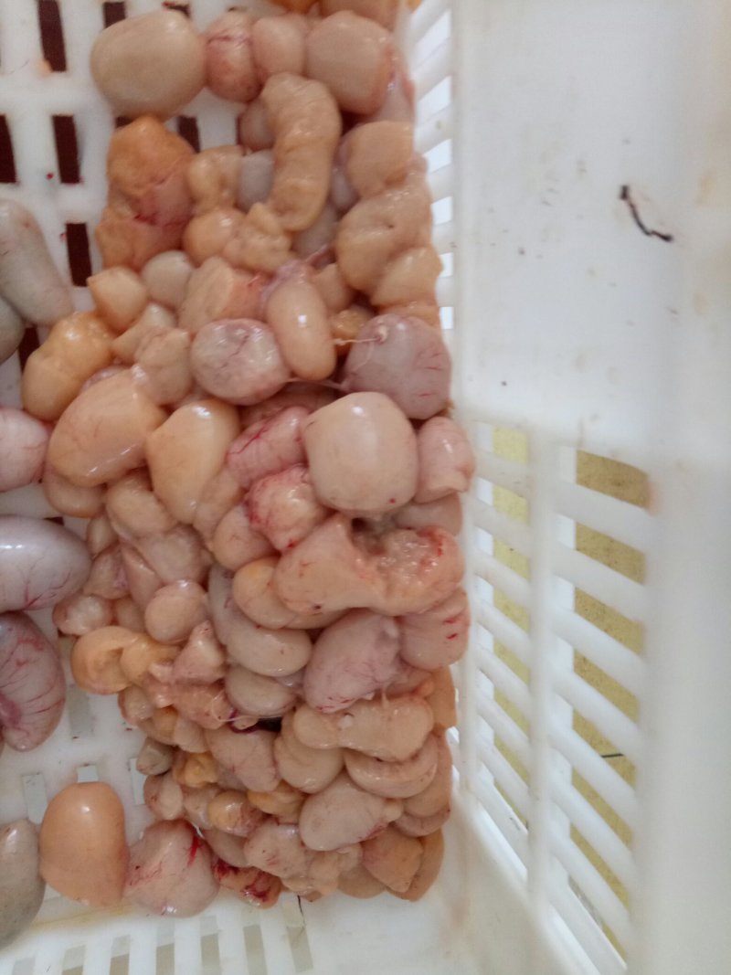 破损鸡肾鸡腰子用于包子饺子，抄手,元子馅料炒蛋蒸蛋