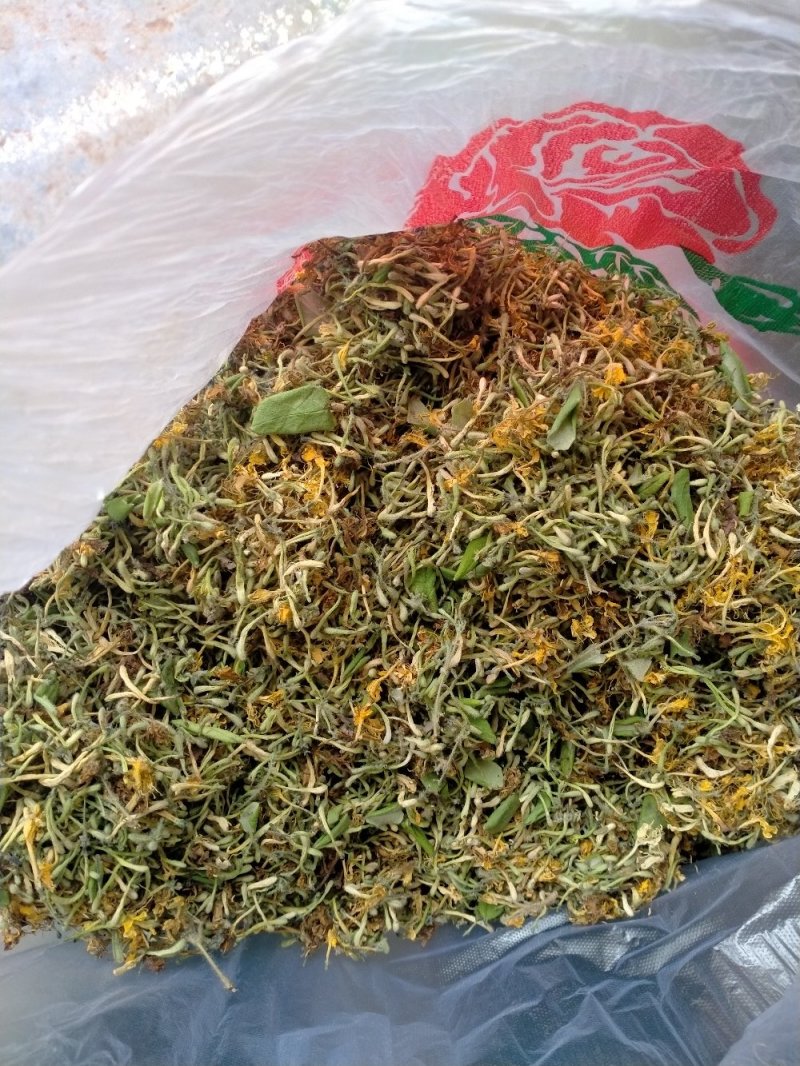 金银花，野生金银花！