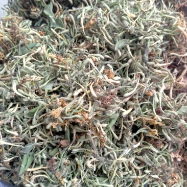 金银花，野生金银花！