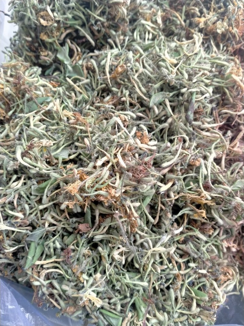 金银花，野生金银花！