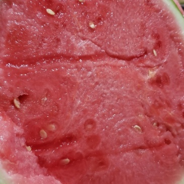精品美都