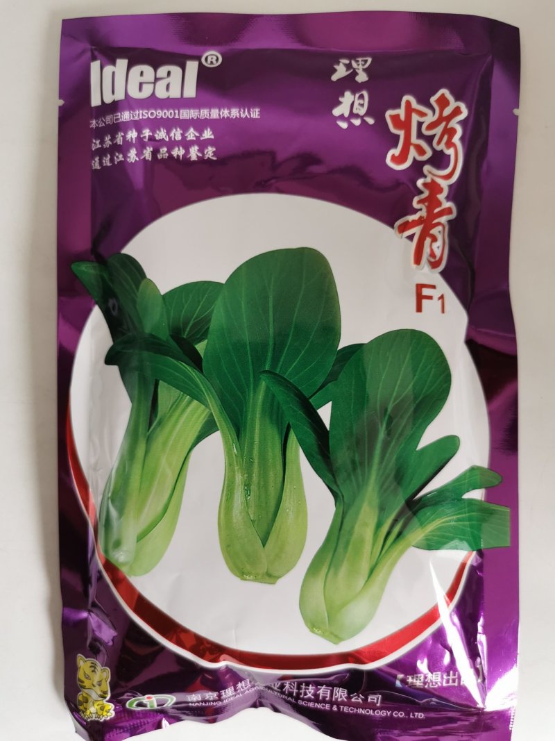 耐热耐湿夏季青梗菜种子不拔节青菜种原装发货