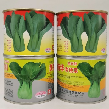 耐热耐湿夏季青梗菜种子不拔节青菜种原装发货