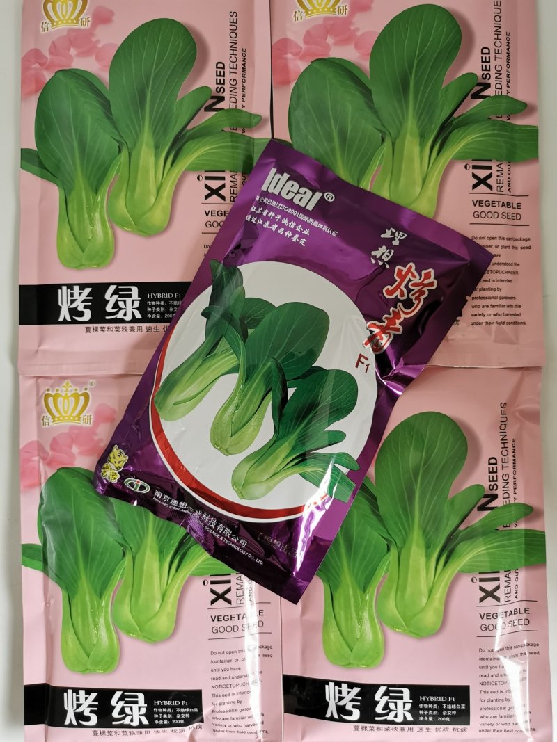 耐热耐湿夏季青梗菜种子不拔节青菜种原装发货